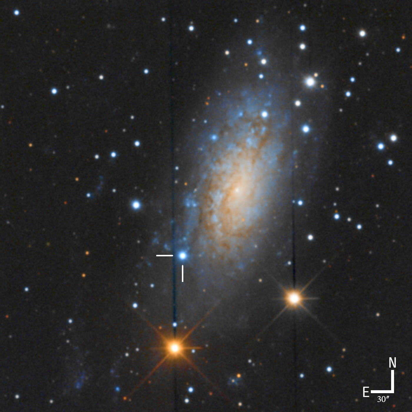 SN2024ggi